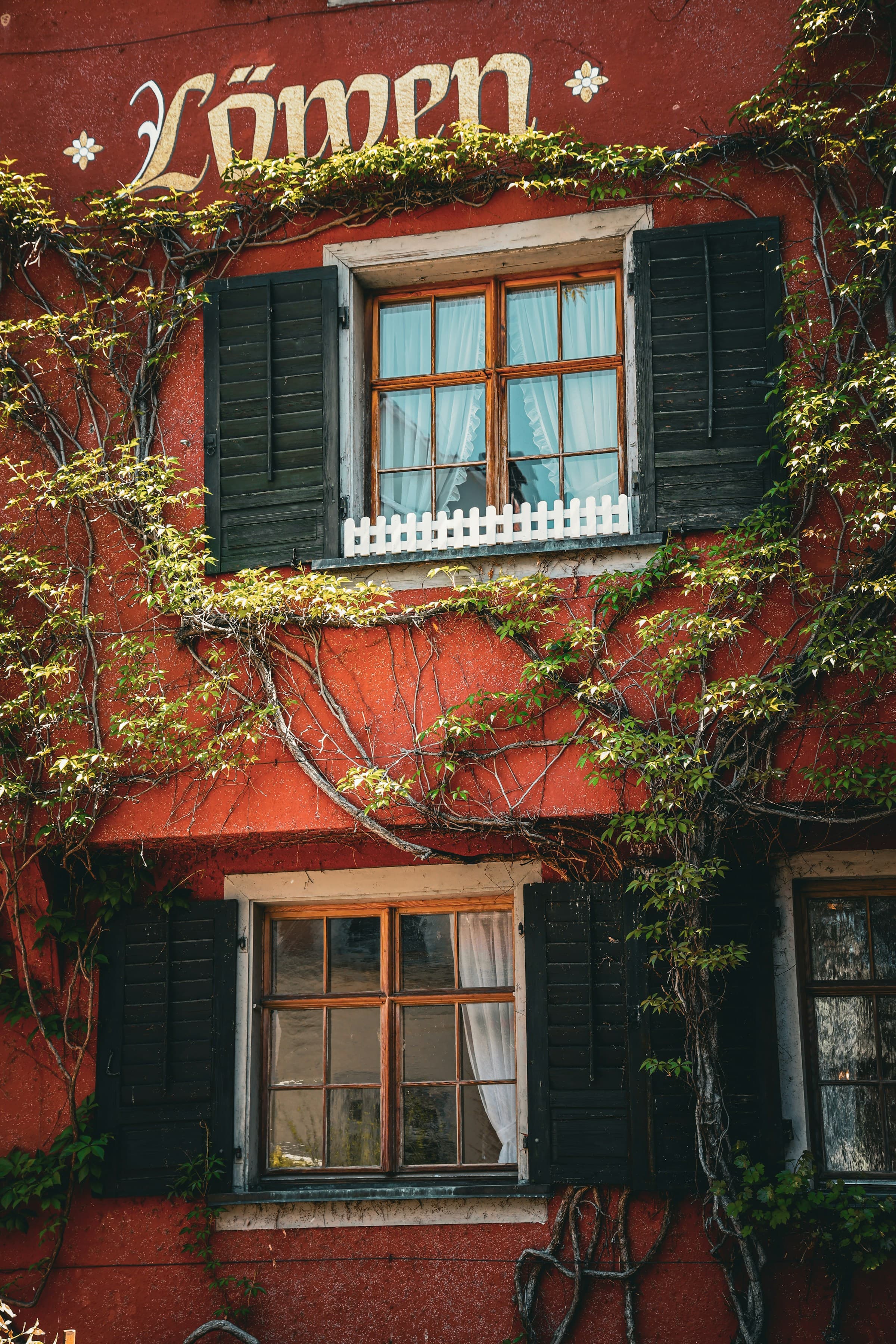 Weinlaub an der historischen Fassade des Hauses